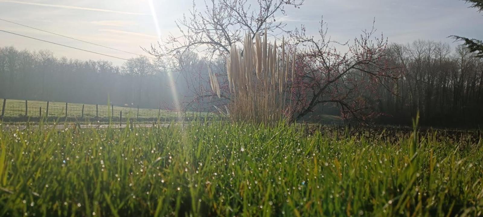 Pleine Nature, 10 Min Zoo Beauval Mareuil Sur Cher Esterno foto