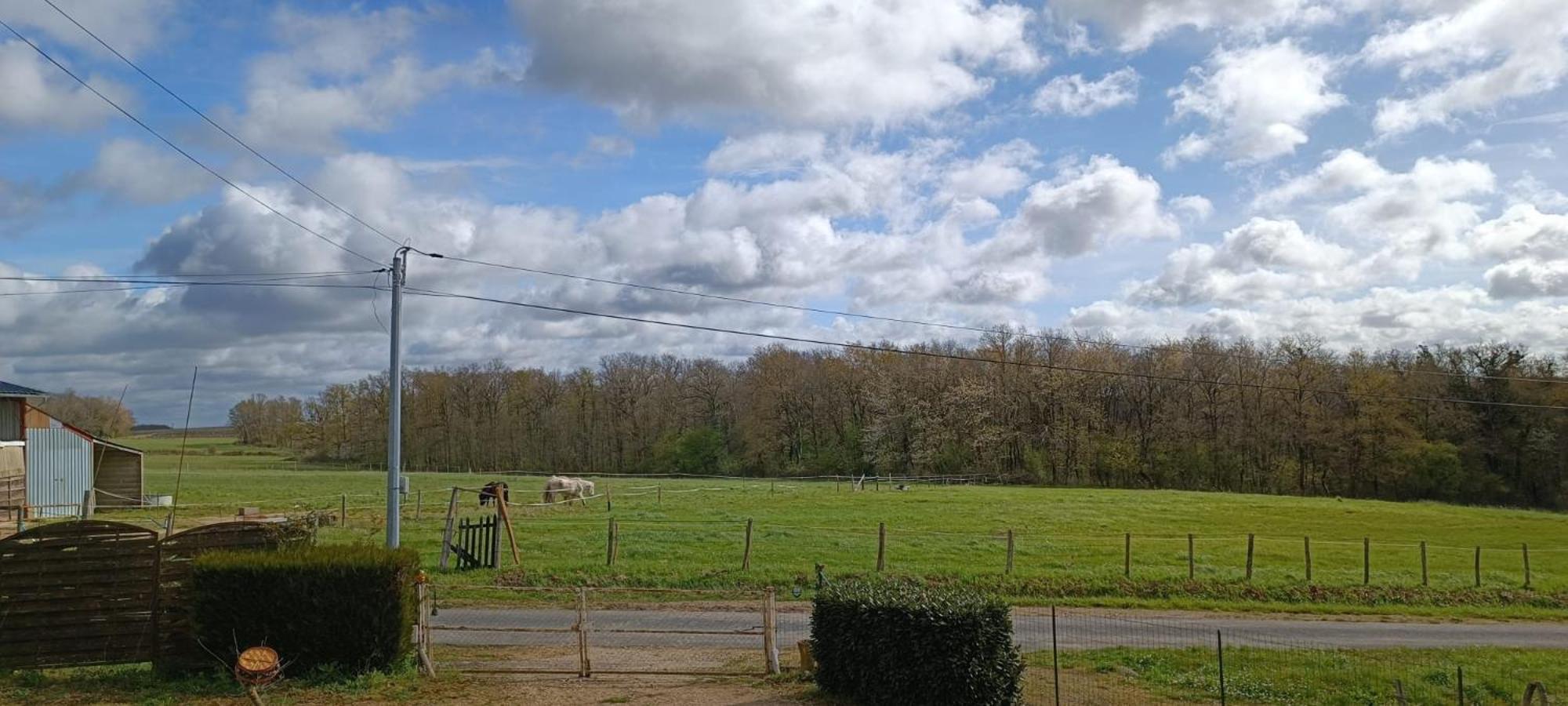 Pleine Nature, 10 Min Zoo Beauval Mareuil Sur Cher Esterno foto